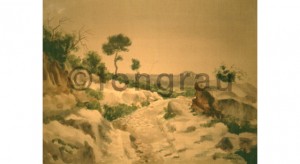 Camí dels Boverals. Mont-roig
