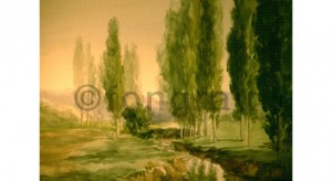 Paisatge de Vic