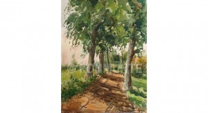 Camí amb plataners. L'Espluga de Francolí