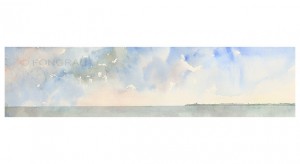 El Delta8x33 cm.