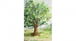 Roure.33x22 cm.